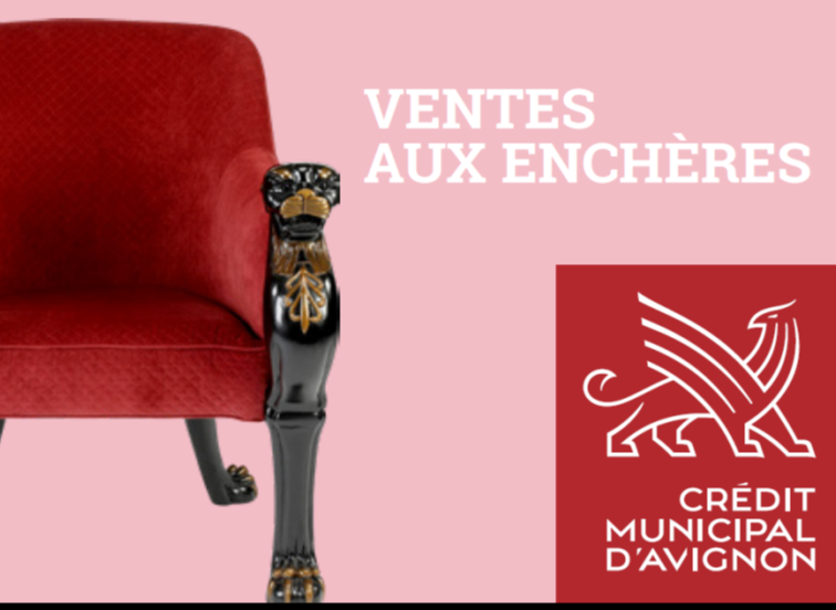 Vente Aux Encheres Avignon