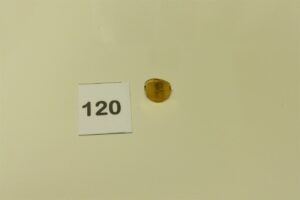 1 bague en or sertie d'une pièce retournée de 10Frs (Td52). PB 5g